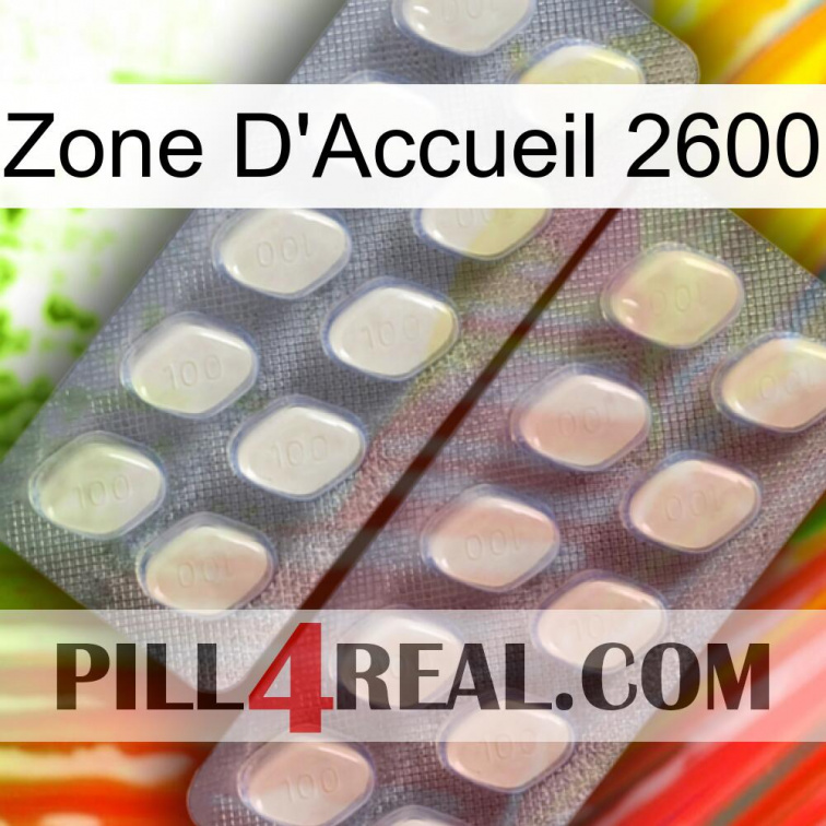 Home Zone 2600 07
